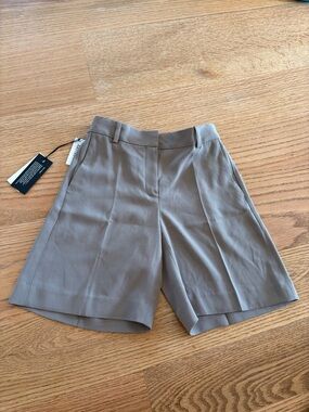 Aritzia Babaton fervor short
